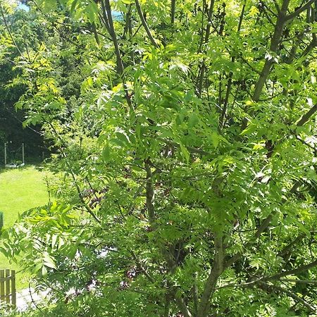 Apartment Orlitsch Klagenfurt am Woerthersee Eksteriør billede